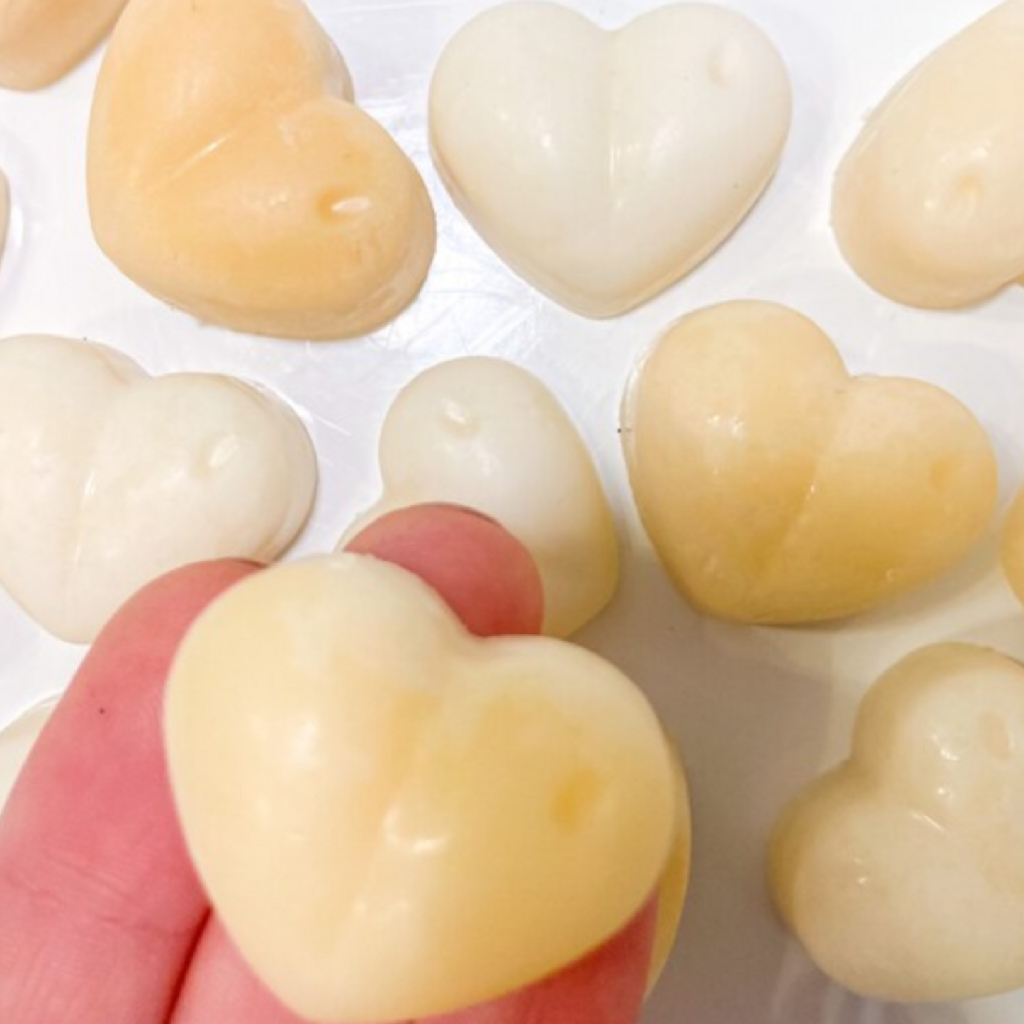 Vanilla Wax melts