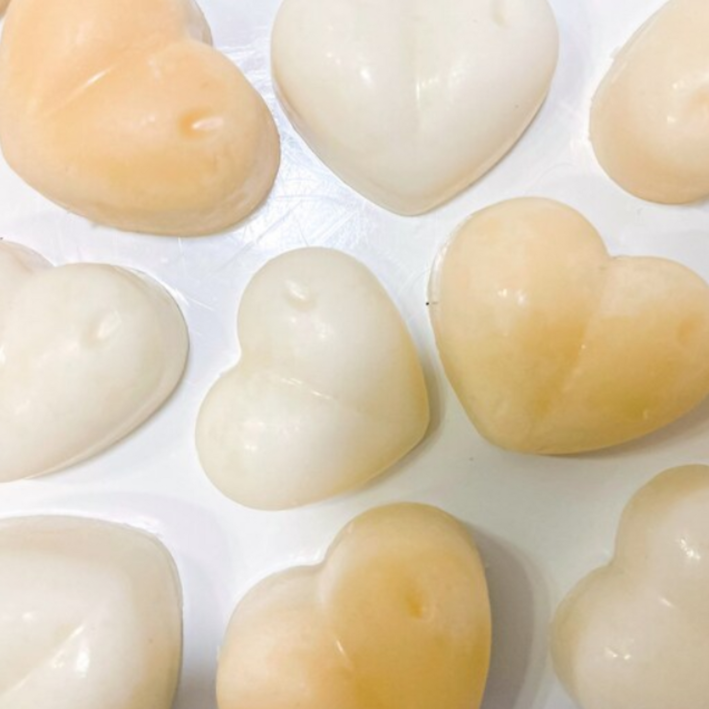 Vanilla Wax melts